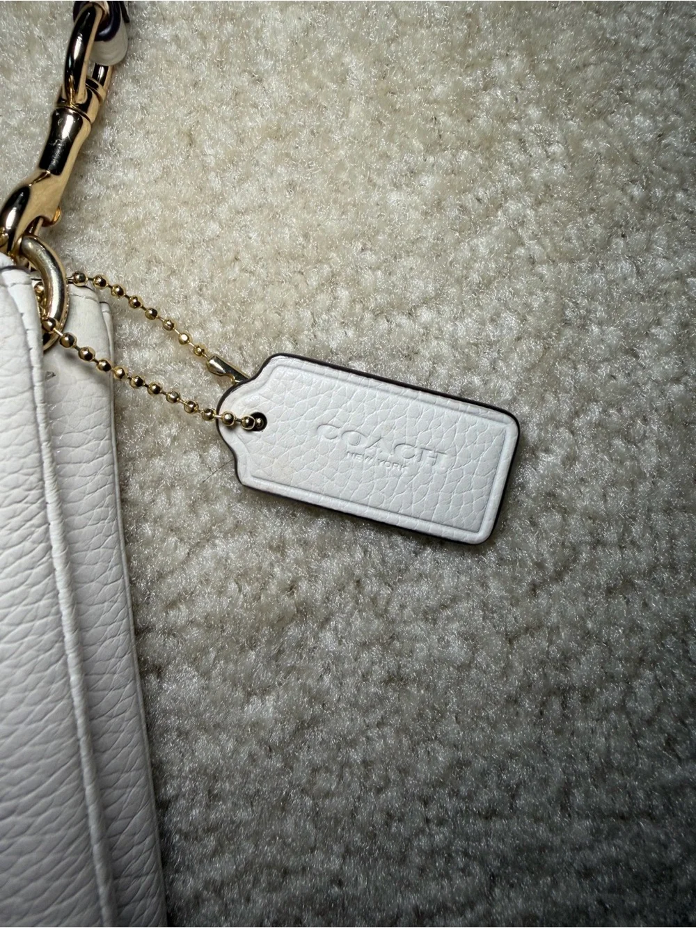 Coach Pebble Leather Lyla Crossbody Shoulder Purse Bag Clutch White F38173